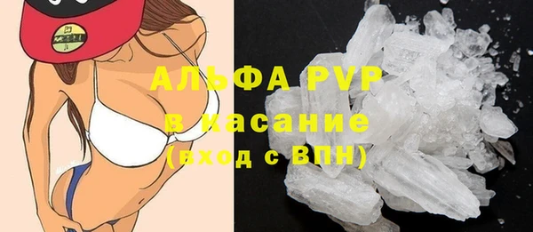 индика Михайлов