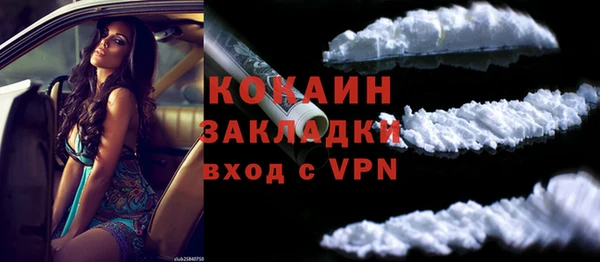индика Михайлов