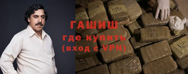 индика Михайлов