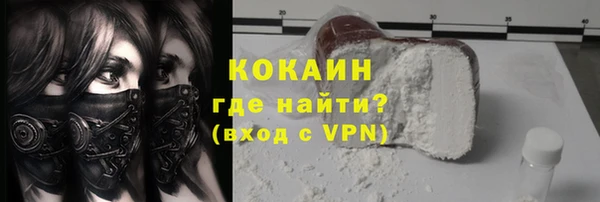 индика Михайлов