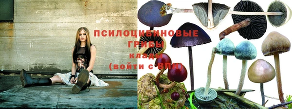 стафф Михайловка