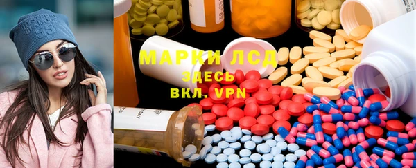 индика Михайлов