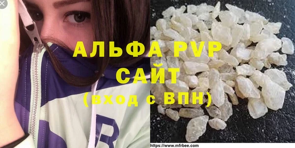 индика Михайлов