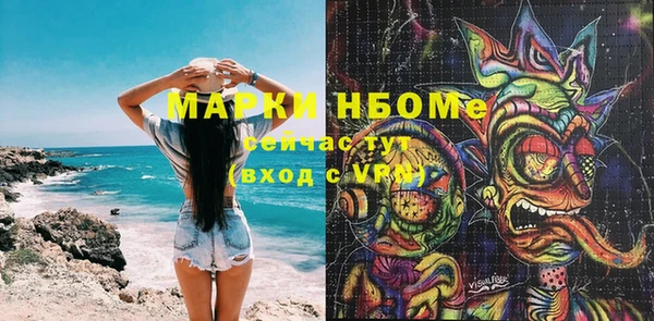 индика Михайлов