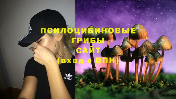 стафф Михайловка