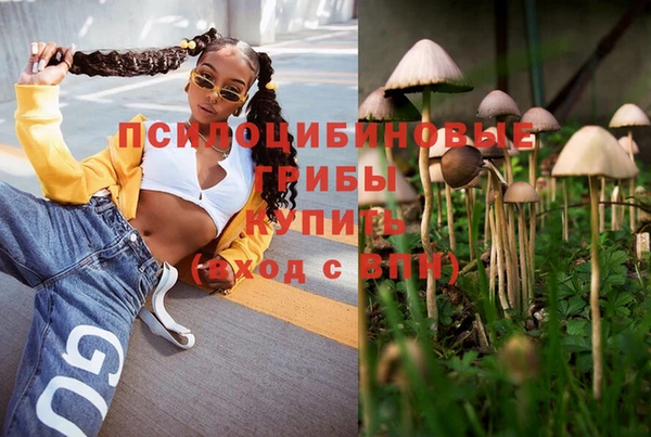 индика Михайлов