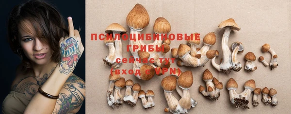 стафф Михайловка