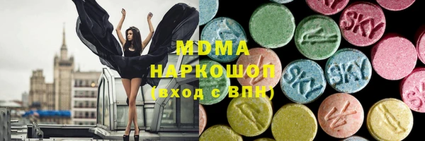 индика Михайлов