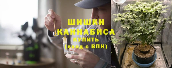 индика Михайлов