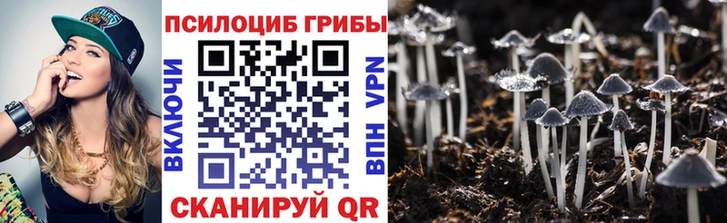 наркота  omg зеркало  Псилоцибиновые грибы ЛСД  Кострома 